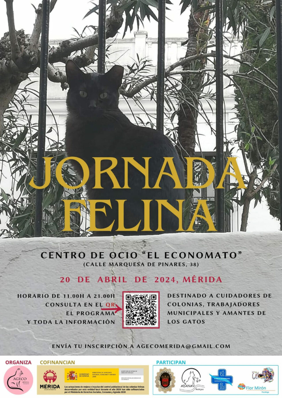 El próximo sábado el Economato acogerá los talleres y charlas de la “Jornada Felina”