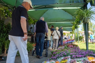 El Ayuntamiento destaca la gran acogida y el numeroso público en la segunda edición del Mercado de las Flores