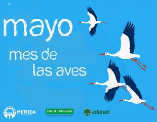 El Ayuntamiento vuelve a poner en marcha las actividades del “Mes de las Aves”