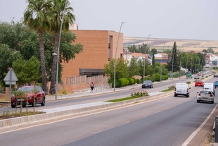 El Ayuntamiento finaliza las mejoras en la mediana de la avenida Reina Sofía