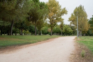 El Ayuntamiento implementa un plan de mejoras en los riegos de las zonas verdes de la ciudad