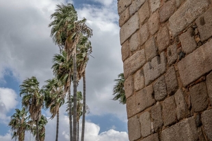 El Ayuntamiento cierra instalaciones deportivas exteriores y la Ciudad de la Infancia por la alerta de fuertes vientos