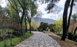 La Peña Flamenca placentina celebra el festival de flamenco “García Matos el próximo sábado, 15 de noviembre, a las 20:00 horas, en el Teatro Alkázar