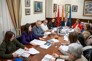 El alcalde preside la primera reunión del año del Consejo Local de Mayores