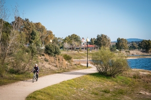 El Ayuntamiento adjudica el proyecto de adecuación y acondicionamiento de Proserpina