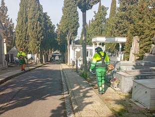 El Ayuntamiento realiza labores de limpieza integral en el Cementerio dentro de su Plan Especial de Actuación por los daños del temporal