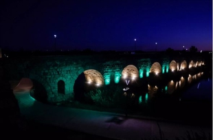 La fachada del Ayuntamiento y varios monumentos se iluminan el domingo en color verde por el Da Nacional de la Artritis