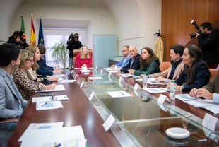 El alcalde ha solicitado en la reunión del Consejo de Capitalidad la puesta en marcha de los proyectos comprometidos con Mérida